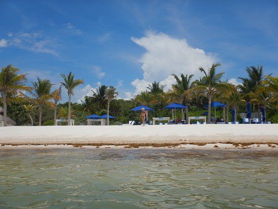 El Acuario de Playa
